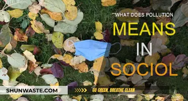 Societal Pollution: Harming the Social Fabric