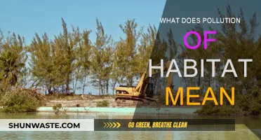 The Impact of Pollution on Natural Habitats