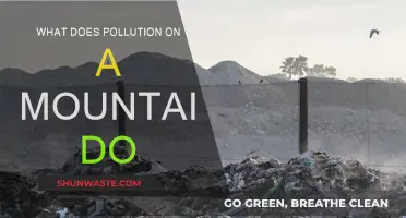 Mountain Pollution: Understanding the Impact and Consequences