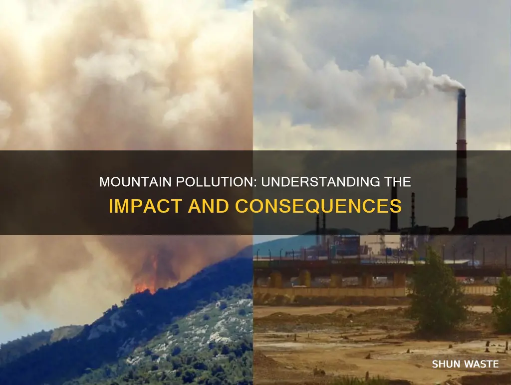 what does pollution on a mountain do