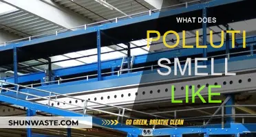 The Smell of Pollution: What's in the Air?