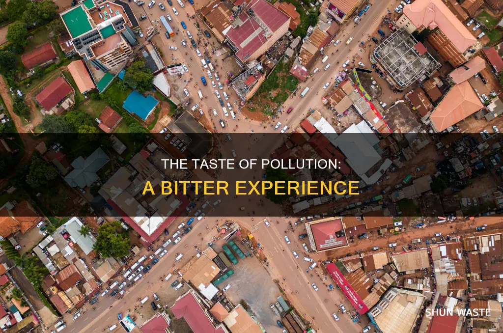 what does pollution taste