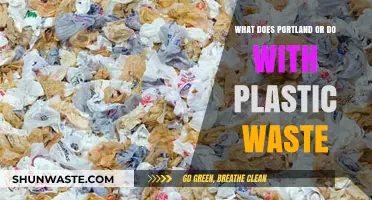 Sustainable Solutions: Portland's Innovative Approach to Plastic Waste Management
