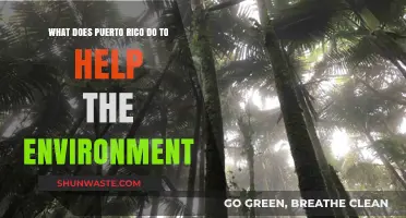 Puerto Rico's Eco-Initiatives: Sustainable Practices for a Greener Future