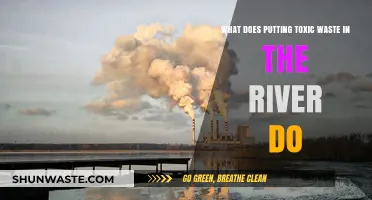 The Hidden Dangers: How Toxic Waste Pollutes Our Rivers
