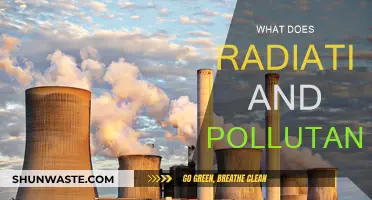 Radiation and Pollutants: Harmful Effects and Prevention