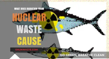 Unveiling the Impact: Radiation from Nuclear Waste Explained