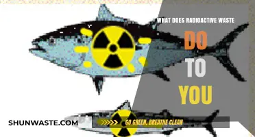 Unveiling the Invisible Threat: How Radioactive Waste Affects You