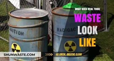 Unveiling the Hidden Dangers: A Glimpse into Real Toxic Waste