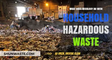Eco-Friendly Disposal: How Recology Handles Household Hazardous Waste