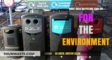 Recycling Cans: Environmental Benefits and Sustainable Impact Explained