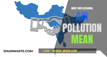 Air Pollution's Regional Impact: What Does It Mean?