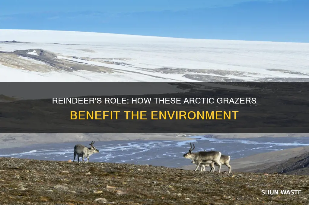 what does reindeer do to help the environment