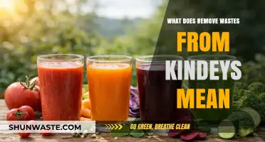Understanding Kidney Detox: What Does Removing Wastes Really Mean?