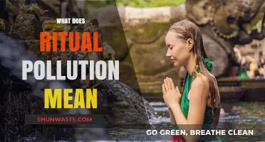 Ritual Pollution: Understanding Sacred Purity Laws