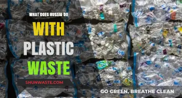Russia's Plastic Waste Management: Challenges and Opportunities