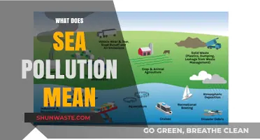 The Impact of Sea Pollution: Understanding the Devastating Effects