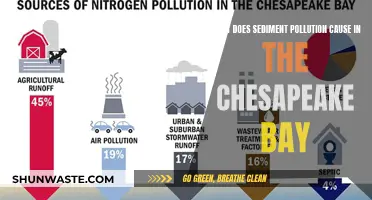 Sediment Pollution's Impact: Chesapeake Bay's Troubled Waters