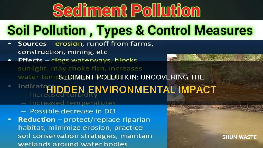 what does sediment pollution cause