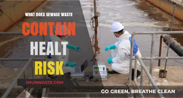 Unveiling the Hidden Health Risks in Sewage Waste
