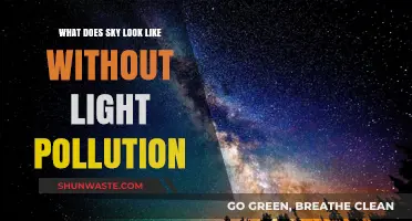 Experience the Night Sky Without Light Pollution