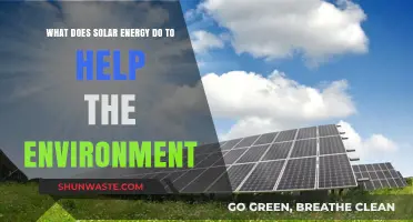Solar Energy's Environmental Impact: Clean Power for a Greener Future