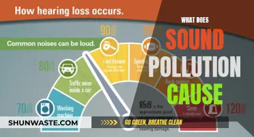 Sound Pollution's Impact: Health, Sleep, and More