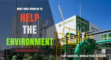 Spain's Green Initiatives: Environmental Efforts and Sustainable Practices Explained
