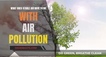 Stable Air and Pollution: A Complex Relationship