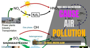 Unveiling the Impact: Sulfur Dioxide's Role in Air Pollution