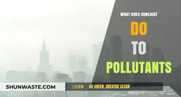 Sunlight's Effect on Pollutants: A Complex Relationship