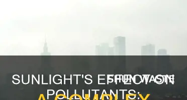 what does sunlight do to pollutants