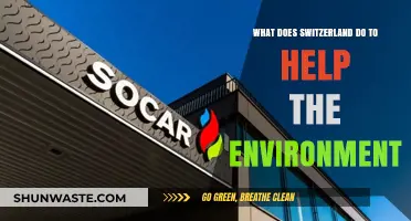 Switzerland's Green Initiatives: How the Nation Protects Our Planet