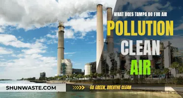 Tampa's Clean Air Strategies: Reducing Air Pollution