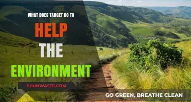 Target's Green Initiatives: Sustainable Practices for a Healthier Planet