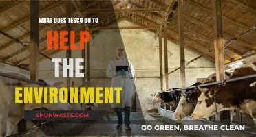 Tesco's Green Initiatives: Sustainable Practices for a Healthier Planet