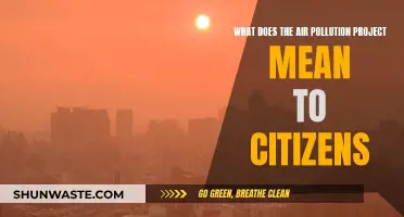 Air Pollution Project: Impact on Citizens' Lives