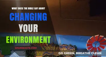 Biblical Insights on Transforming Your Environment for Spiritual Growth