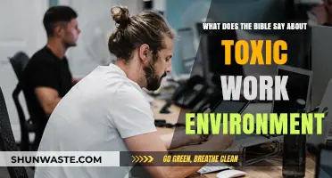 Biblical Insights on Navigating Toxic Workplaces with Faith and Wisdom