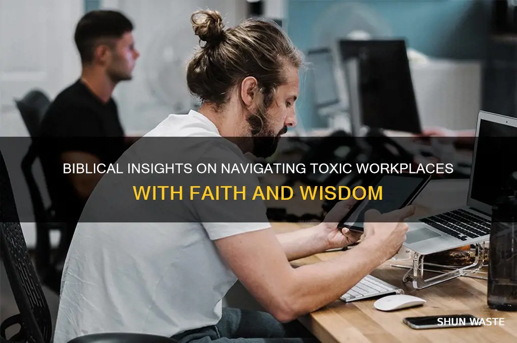what does the bible say about toxic work environment