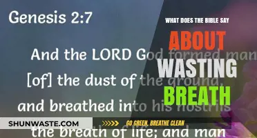 Scriptural Insights: The Bible's Teachings on Wasting Breath