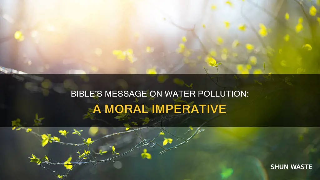 what does the bible say about water pollution