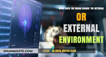 How the Brain Adapts: Internal vs. External Environment Shifts