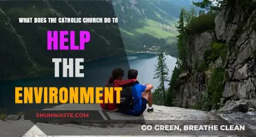 Catholic Church's Green Initiatives: Protecting Creation and Promoting Sustainability