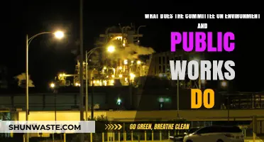 Understanding the Role of the Committee on Environment and Public Works