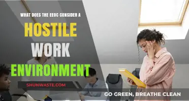 Understanding EEOC's Definition of a Hostile Work Environment