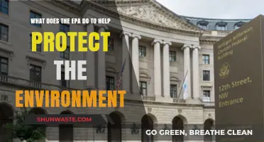 EPA's Role: Safeguarding Our Environment Through Key Initiatives and Policies