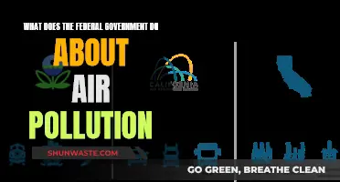 Air Pollution: Federal Government's Role and Impact