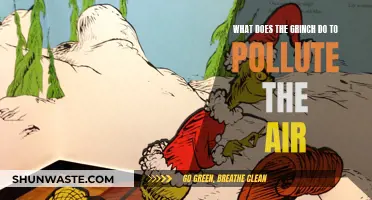 The Grinch's Air Pollution: Harmful Acts and Their Impact
