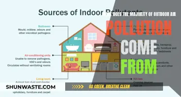 Outdoor Air Pollution: The Main Culprits Revealed